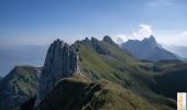 Tour Wandern La Chapelle-d'Abondance - Les crêtes de la Tête de Charousse, Dent du Velan - Photo 1