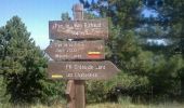 Randonnée Course à pied Valbelle - Cairn 2000 - Valbelle - Photo 4