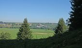 Randonnée Marche Chastreix - Chastreix - Bois de la Masse - Photo 4