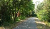 Tocht Fiets Caveirac - Voie Verte de la Vaunage - Photo 4