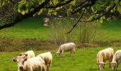 Randonnée Marche Lavault-de-Frétoy - Enclos à sangliers - La Grange Vermoy - Photo 1