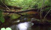 Excursión Carrera Aureilhan - Balade au fil du lac et du courant - Mimizan - Photo 6