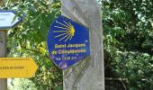 Randonnée Marche Prinsuéjols-Malbouzon - Tour des Monts d'Aubrac - De la Ferme des Gentianes - Finieyrols à Aumont-Aubrac - Photo 5