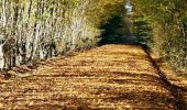 Tour Mountainbike La Ferté-Vidame - Autour de la forêt (Etape 1) -  La Ferté-Vidame - Photo 1