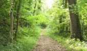 Randonnée V.T.T. La Ferté-Vidame - Autour de la forêt (Etape 1) -  La Ferté-Vidame - Photo 5