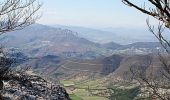 Tocht Lopen Valbelle -  Tour du cirque de Valbelle - Photo 1