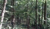 Trail Walking La Neuville - Balade équestre en forêt de Phalempin - Photo 4