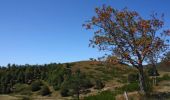 Tocht Mountainbike Val-d'Aigoual - Descente de l'Aigoual - Le Vigan - Photo 1