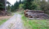 Tocht Mountainbike Bully - VTT à Bully - Le Trèfle Bullyçois (Boucle de 10 km) - Photo 4