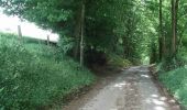 Trail Walking Tinchebray-Bocage - Chemin de l'Egrenne (n° 9) - Beauchêne  - Photo 4