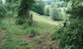 Trail Walking Tinchebray-Bocage - Chemin de l'Egrenne (n° 9) - Beauchêne  - Photo 3