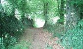 Trail Walking Tinchebray-Bocage - Chemin de l'Egrenne (n° 9) - Beauchêne  - Photo 2
