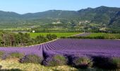 Randonnée Marche Aleyrac - Tour du Pays de Dieulefit  - Aleyrac à Fontlargias - Photo 4