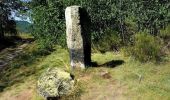 Trail Mountain bike Saint-Nectaire - Espace VTT FFC du Sancy - Circuit n°35 - St Roch - Secteur St Nectaire - Photo 1