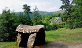 Tocht Mountainbike Saint-Nectaire - Espace VTT FFC du Sancy - Circuit n°36 - Grotte de Châteauneuf - Secteur St Nectaire - Photo 3