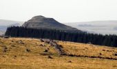 Trail Walking Prinsuéjols-Malbouzon - De Prinsuéjols à Aubrac  - Photo 3