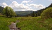 Trail Mountain bike Ban-sur-Meurthe-Clefcy - La vallée de Belbriette - Ban-sur-Meurthe-Clefcy - Photo 5