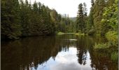 Tour Mountainbike Ban-sur-Meurthe-Clefcy - La vallée de Belbriette - Ban-sur-Meurthe-Clefcy - Photo 1