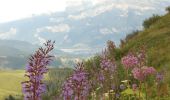 Tocht Stappen La Giettaz - Col de Jaillet - Le Plan - Photo 1