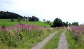 Tour Wandern Neussargues en Pinatelle - La Via Arverna (Neussargues - Murat)  - Photo 4