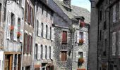 Tour Wandern Neussargues en Pinatelle - La Via Arverna (Neussargues - Murat)  - Photo 2