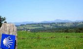 Trail Walking Aurillac - La Via Arverna (Aurillac -  Laroquebrou)  - Photo 4