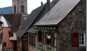Tour Wandern Sankt Pilt - Le tour de St Hippolyte - Photo 1