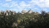 Excursión Senderismo Gigondas - Dentelles Montmirail   - Gigondas - Photo 4