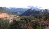 Tocht Stappen Gigondas - Dentelles Montmirail   - Gigondas - Photo 3