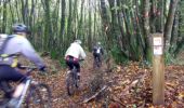 Trail Mountain bike Plogonnec - Le bois du Névet  - Plogonnec - Photo 6