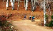 Tocht Mountainbike Renaison - Virée entre Côte Roannaise et Monts de la Madeleine - Renaison - Photo 3