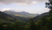 Tour Wandern Mandailles-Saint-Julien - Le Puy Chavaroche - Mandailles Saint Julien - Photo 5