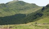 Trail Walking Mandailles-Saint-Julien - Le Puy Chavaroche - Mandailles Saint Julien - Photo 4