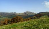 Trail Walking Mandailles-Saint-Julien - Le Puy Chavaroche - Mandailles Saint Julien - Photo 2