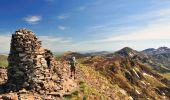 Tour Wandern Mandailles-Saint-Julien - Le Puy Chavaroche - Mandailles Saint Julien - Photo 1