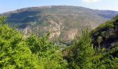 Trail Walking Éourres - La Montagne de Mare et le Pied du Mulet - Eourres - Photo 3