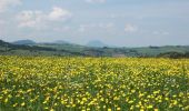 Tour Wandern Aydat - Pierre Longue près de Cournols - Ponteix - Photo 1