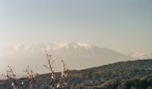 Tour Wandern Ria-Sirach - A l'ombre du Canigou - Ria-Sirach - Photo 6