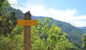 Tour Wandern Ria-Sirach - A l'ombre du Canigou - Ria-Sirach - Photo 2