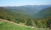 Percorso Mountainbike La Bresse - Tour de la grande Vallée de Munster (refuge du Rainkopf - refuge du Hilsen) - Photo 3