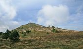 Trail Walking Les Estables - Du Mont d'Alambre au Mont Mezenc - Les Estables - Photo 6