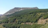 Randonnée Marche Les Estables - Du Mont d'Alambre au Mont Mezenc - Les Estables - Photo 4