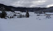Trail Snowshoes Campan - Courtaou de Sarroua -  Campan - Photo 6