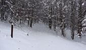 Trail Snowshoes Campan - Courtaou de Sarroua -  Campan - Photo 5