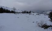 Trail Snowshoes Campan - Courtaou de Sarroua -  Campan - Photo 4