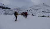 Trail Snowshoes Campan - Courtaou de Sarroua -  Campan - Photo 2