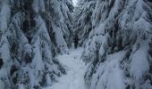 Randonnée Raquettes à neige Orcival - Du Guéry au bois de Pessade - Photo 4