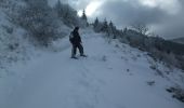 Randonnée Raquettes à neige Orcival - Du Guéry au bois de Pessade - Photo 3