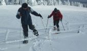 Trail Snowshoes Orcival - Du Guéry au bois de Pessade - Photo 2