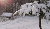 Trail Snowshoes Le Bonhomme - Raquettes vers la Tête du Violu - le Bonhomme - Photo 6